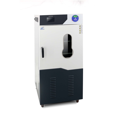 高真空全自动茄子视频深夜福利DZF-6250DC(250L)