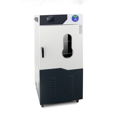 全自动茄子视频深夜福利型号：DZF-6250C(250L)
